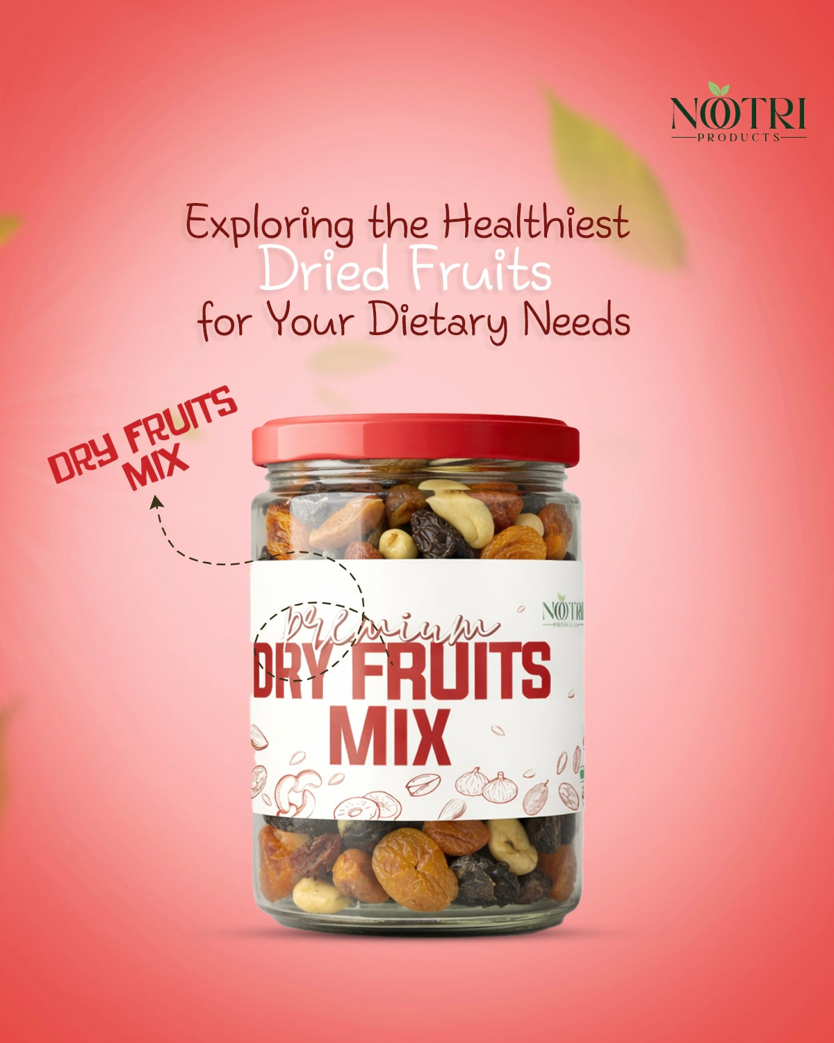 Premium dry fruits& nuts mix (450g)